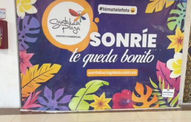 Se Arrienda Locales En Santa Lucía Plaza