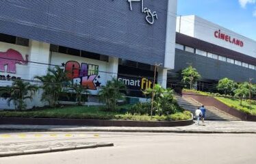 Se Arrienda Locales En Santa Lucía Plaza