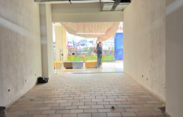 Se Arrienda Locales En Santa Lucía Plaza
